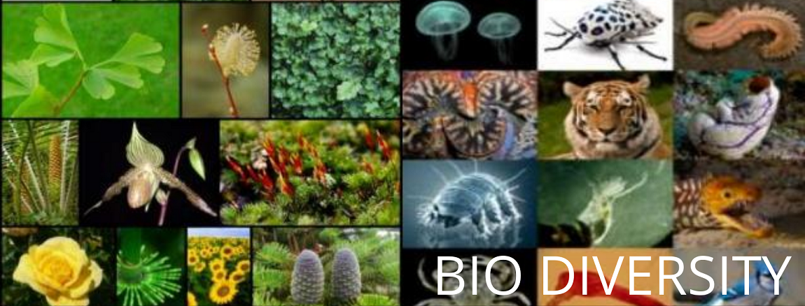 Plant Variety & Bio Diversity